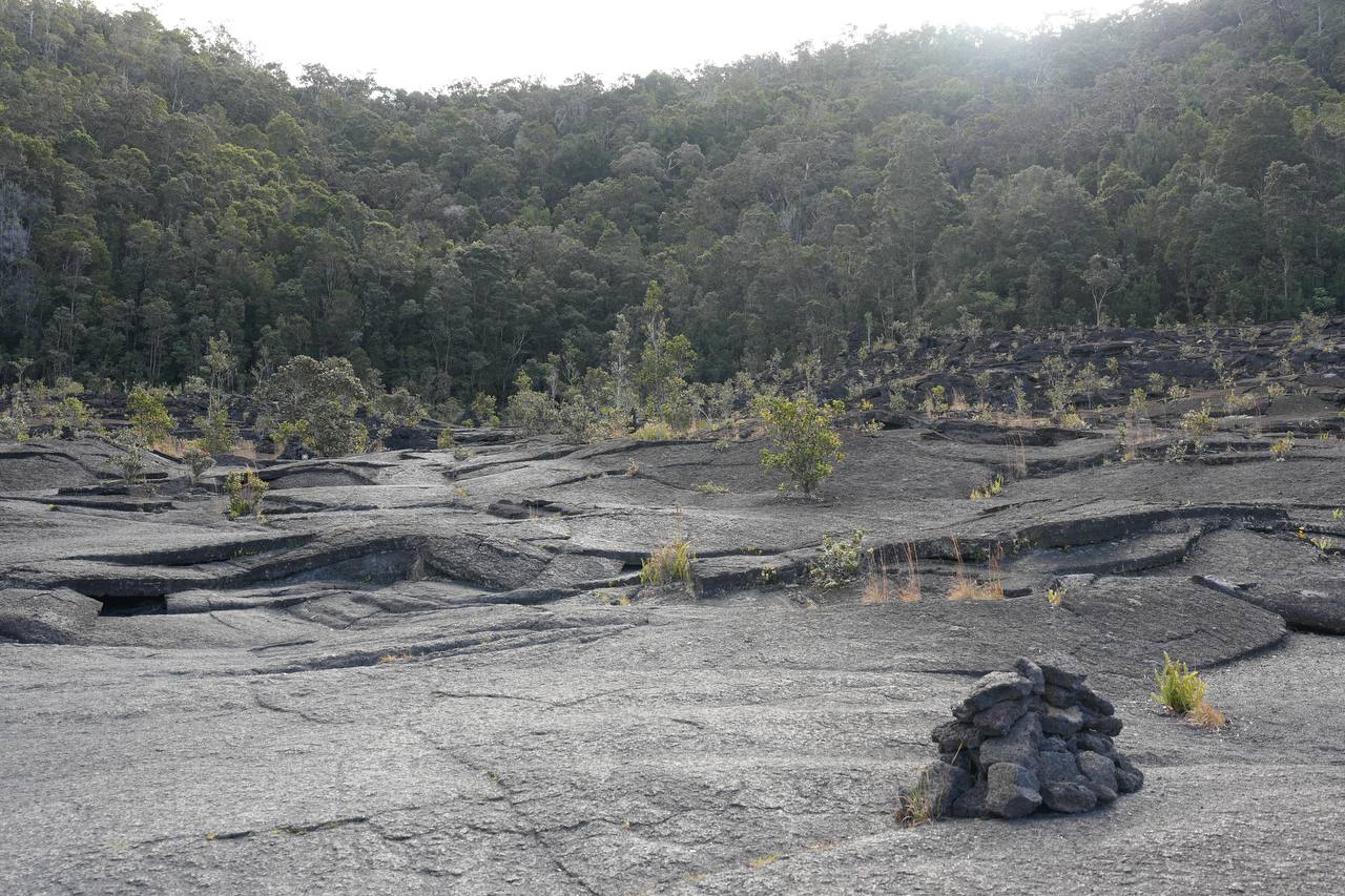 Lava Field Wide Shot
