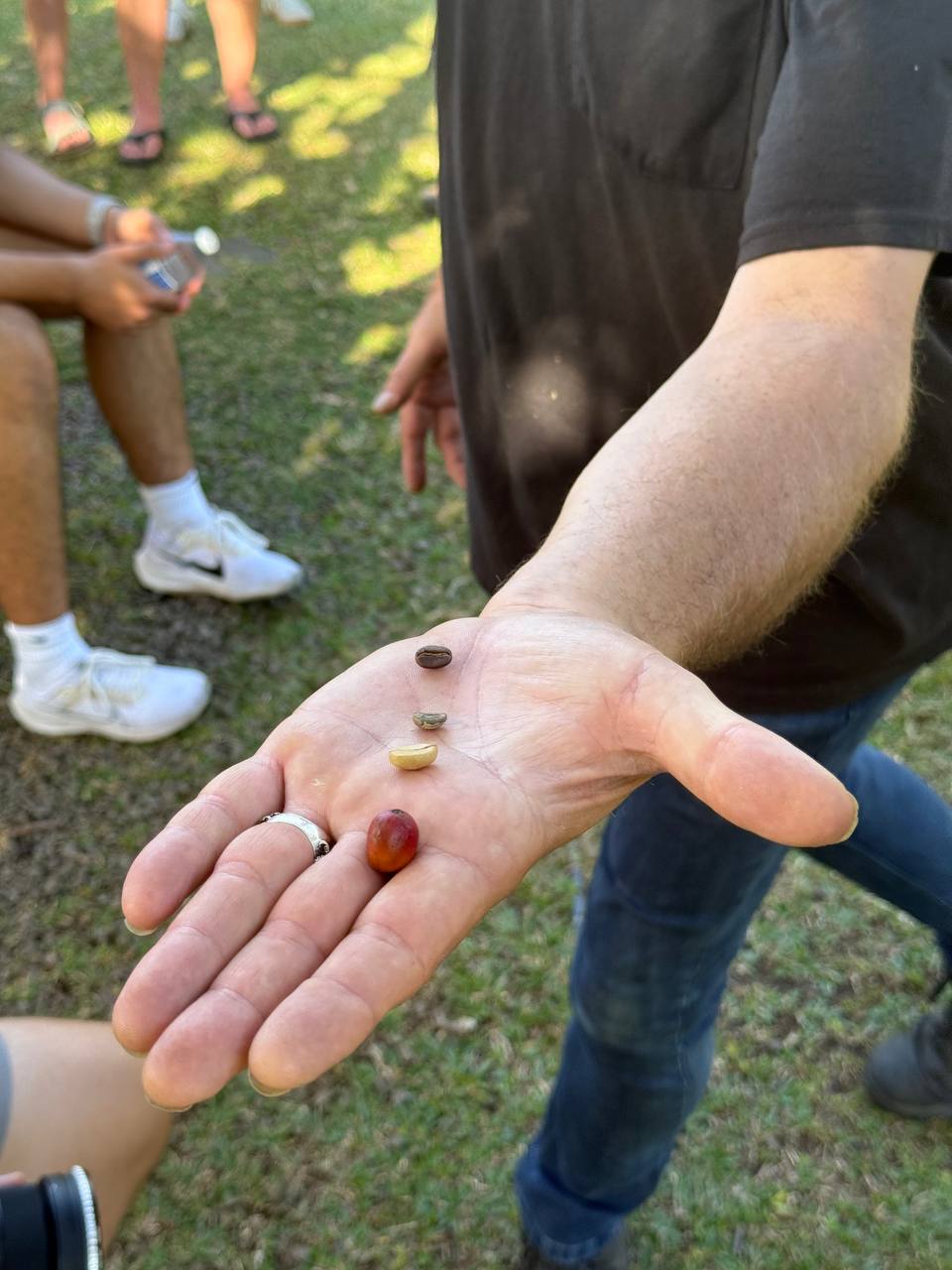 Coffee Beans Roast Levels